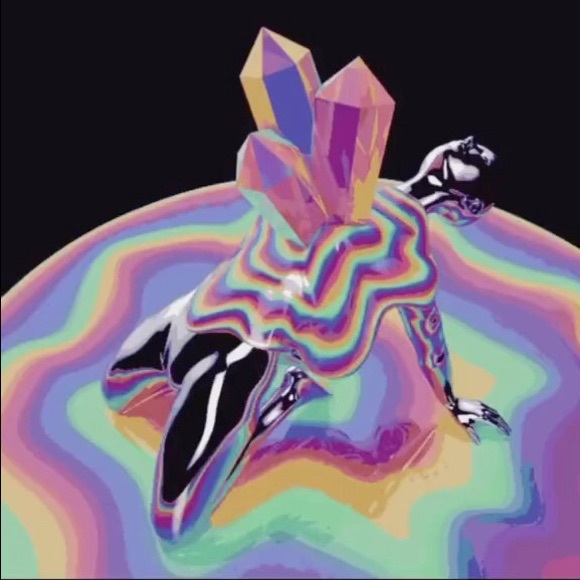 Meet your Posher, Ariana - Picture 1 of 1